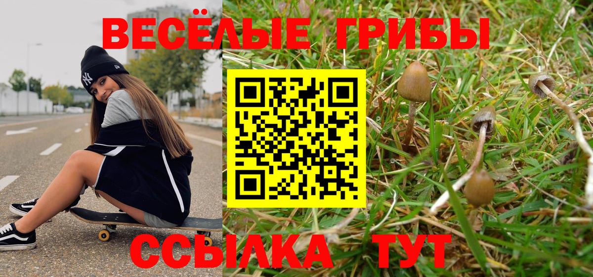 Галлюциногенные грибы Psilocybine cubensis  Вход с VPN  Красноуфимск 